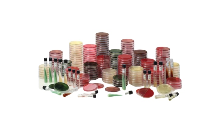 BD BBL Lowenstein-Jensen medium + PACT