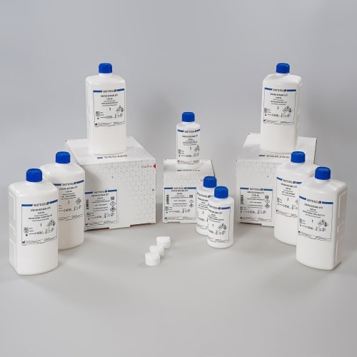 ACROSS BIO KİNYON BOYAMA KİTİ